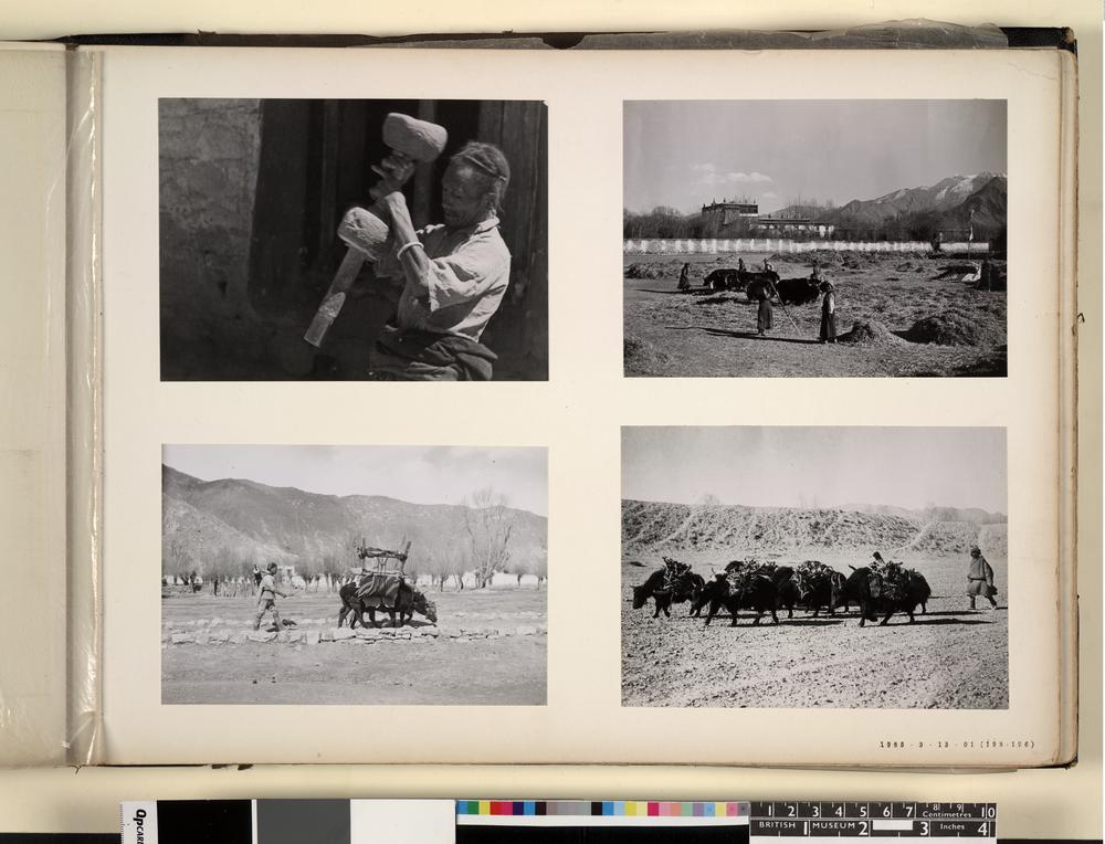 图片[2]-photographic print(black and white); album BM-1986-0313-0.1.194-China Archive